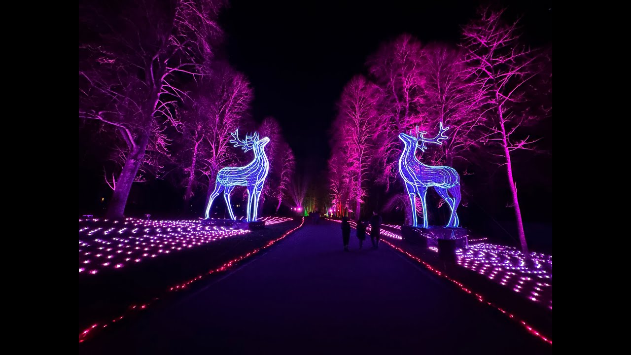 Windsor Great Park Illuminate 2025