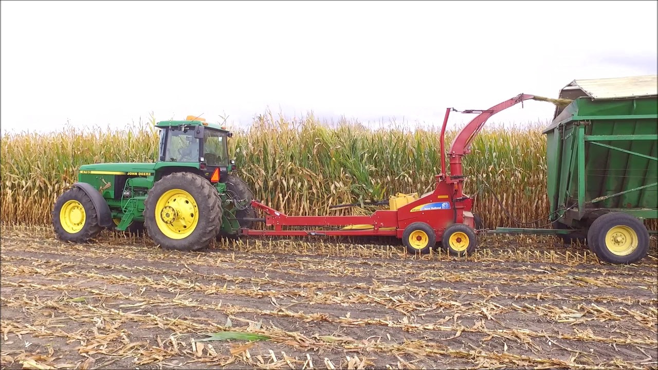 Corn Silage 2017