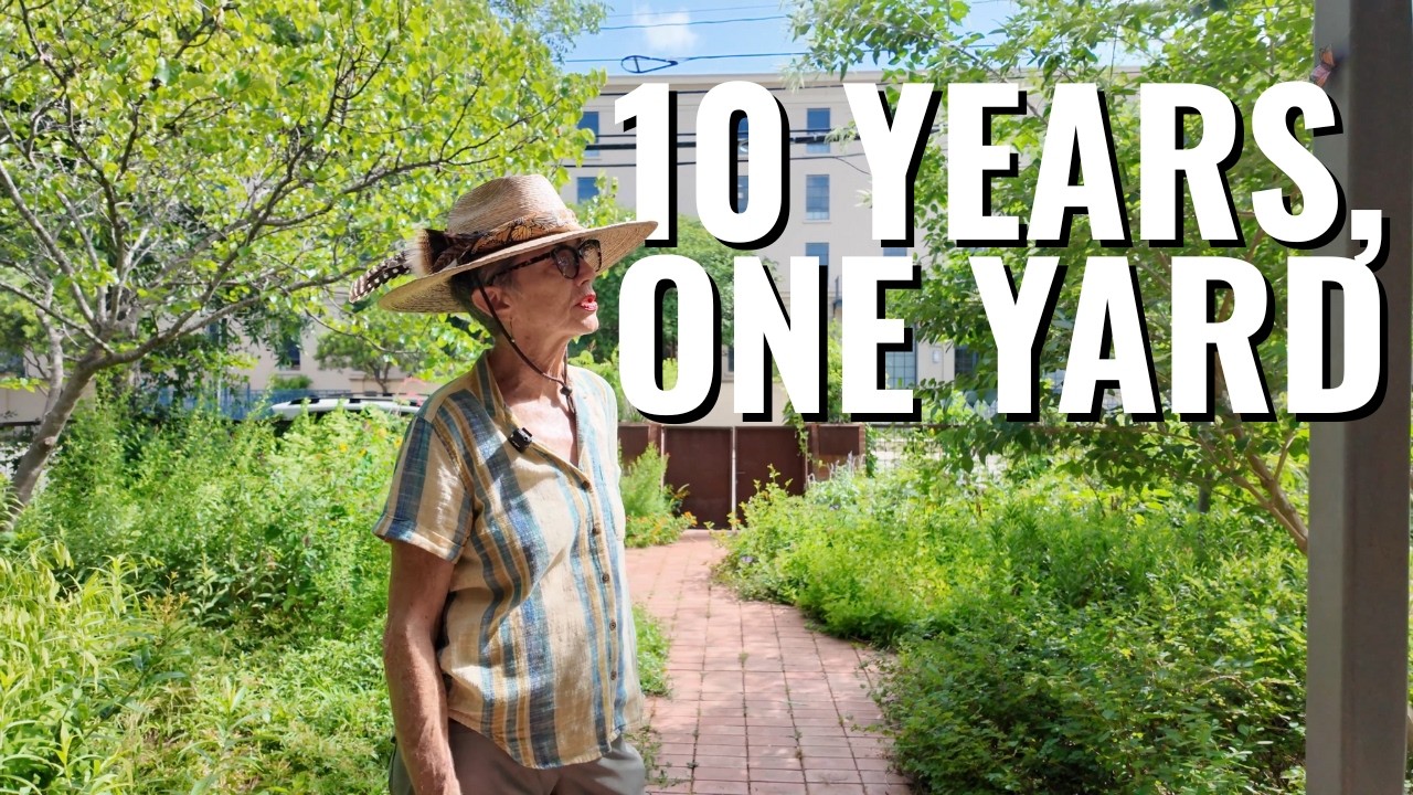 10 Years of Native Plant Gardening in San Antonio