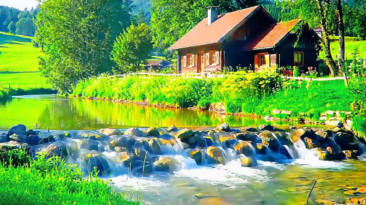 Relax in Nature, Gentle River for Calm, Focus & Sleep, Relaxing Nature Sounds