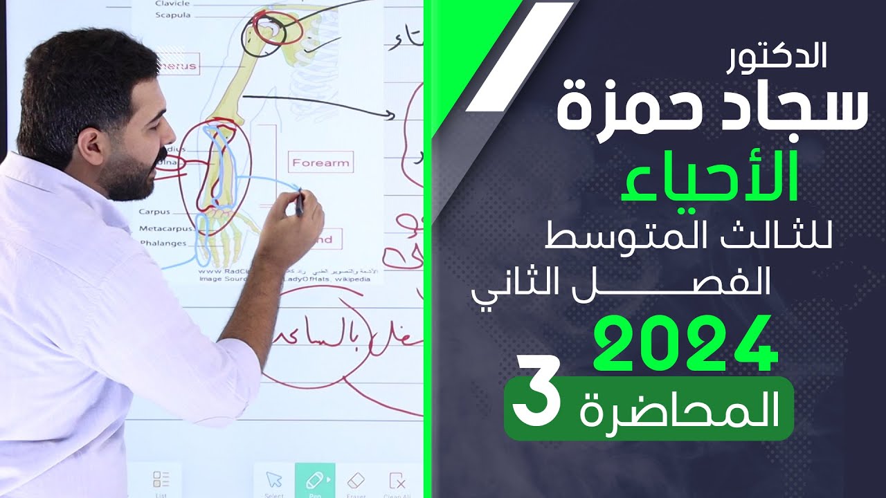احياء الثالث متوسط 2024/ الفصل الثاني / المحاضرة 3 /الهيكل الطرفي