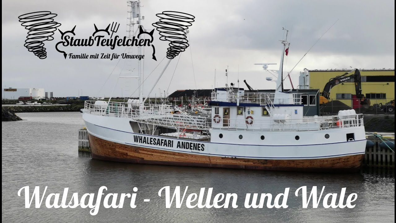 [4] Walsafari - Wellen und Wale /Norwegen