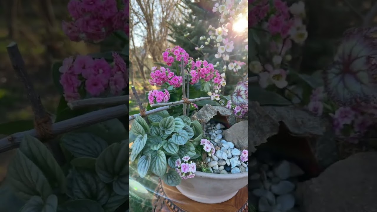 Easter Resurrection Garden! #containergardening #containergarden #gardening