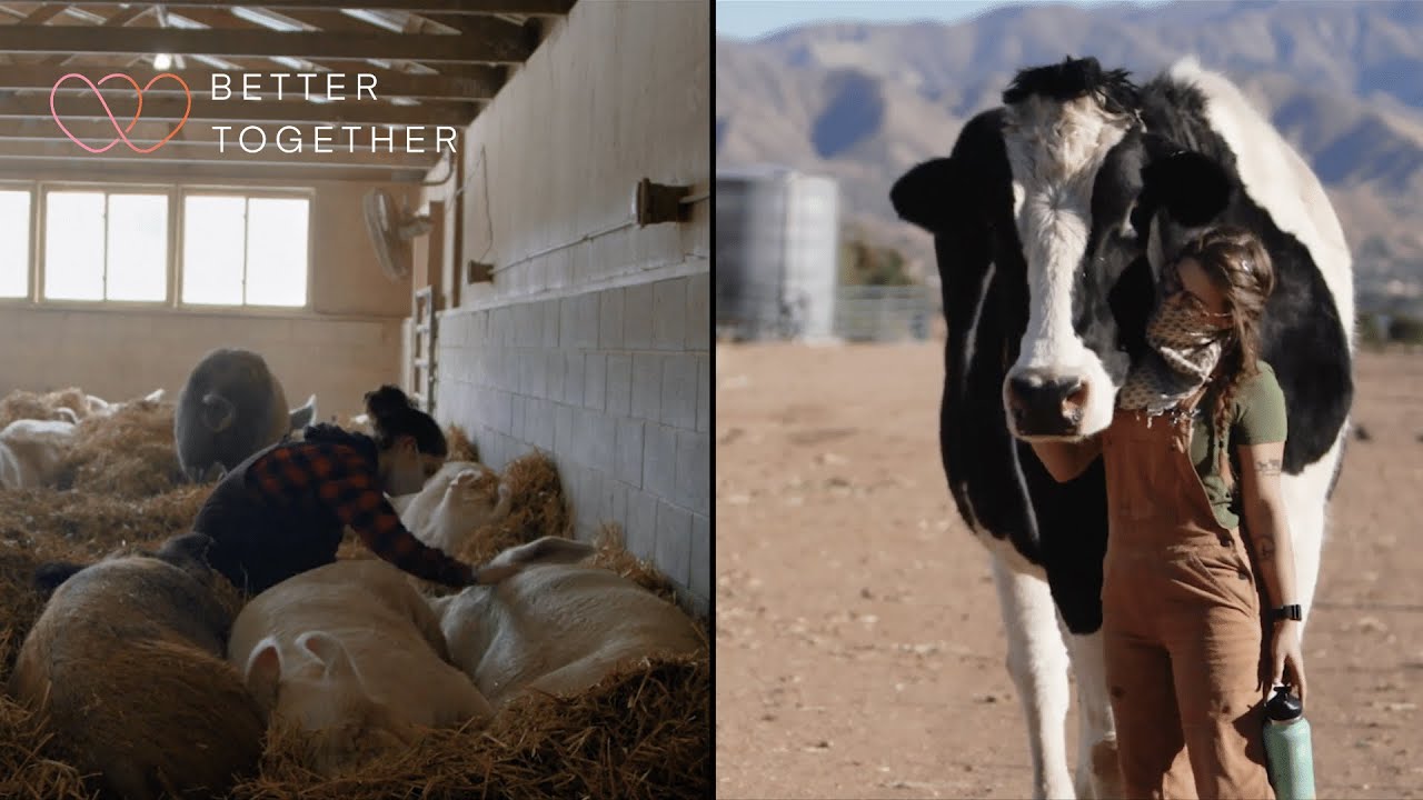 Better Together: Valentine's Day at Farm Sanctuary