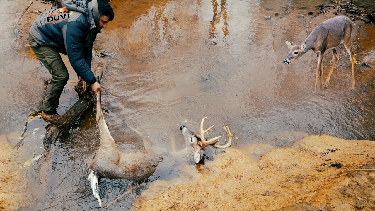 Epica Caza de Venado Cerca de un Rio