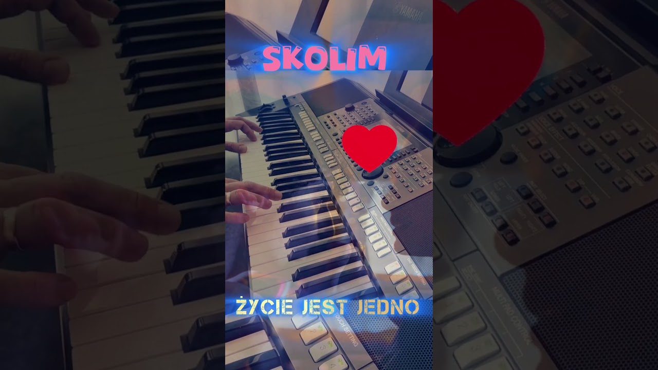 SKOLIM - Życie jest jedno #cover #muzyka #instrumental #skolim #życie #folk