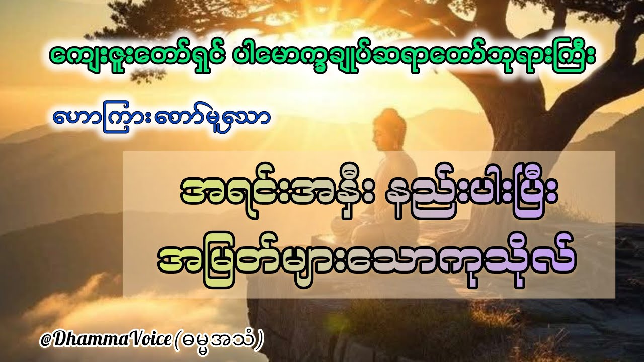 ပါမောက္ခချုပ်ဆရာတော်ကြီး၏တရားတော်-အရင်းအနှီးနည်းပါးပြီး အမြတ်များသောကုသိုလ်🙏🌷