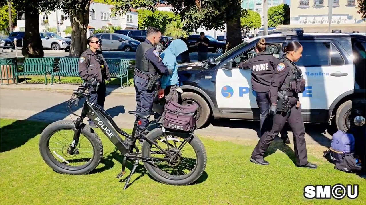 𝗣𝗔𝗟𝗜𝗦𝗔𝗗𝗘𝗦 𝗣𝗔𝗧𝗥𝗢𝗟: Police Take Man Into Custody at Palisades Park
