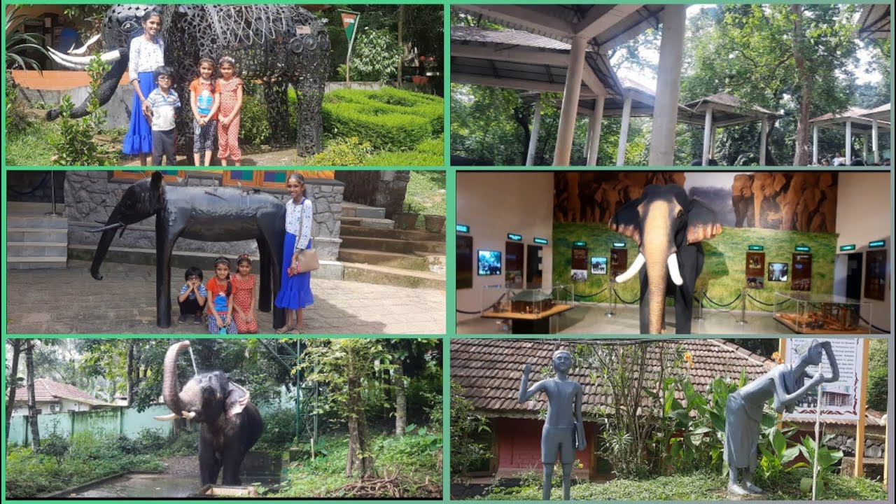 ആനക്കൂട് | കോന്നി ആനത്താവളം | Elephant cage | Konni