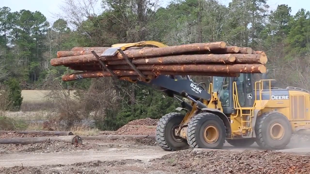 How a Tree Becomes a Utility Pole