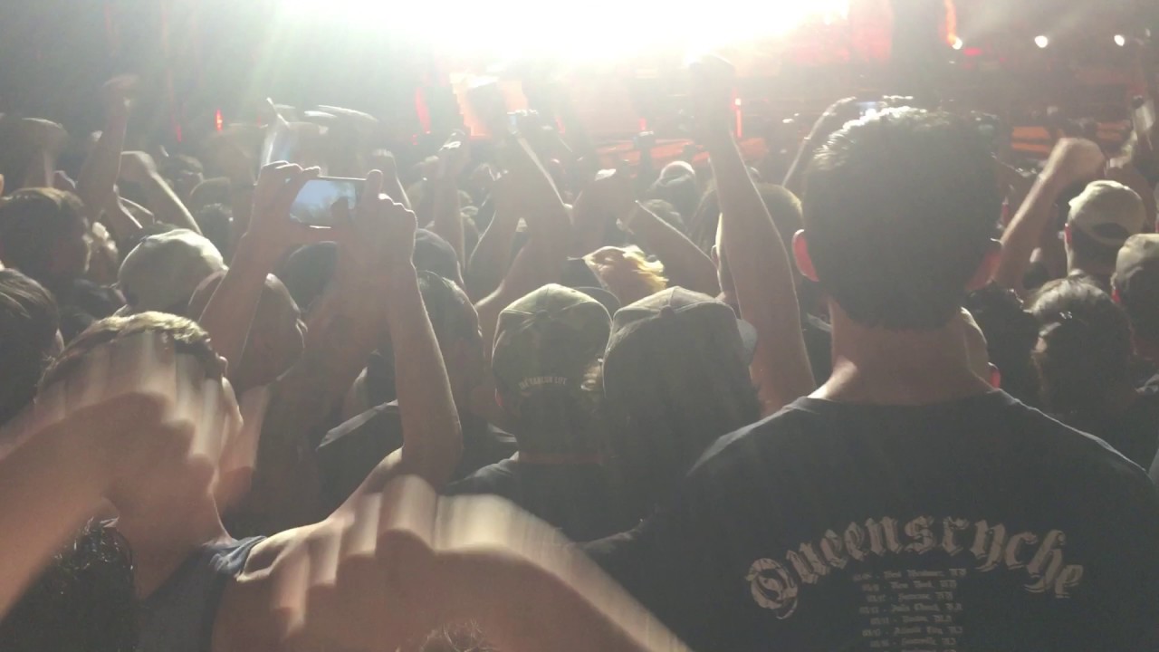 Disturbed live stupidity