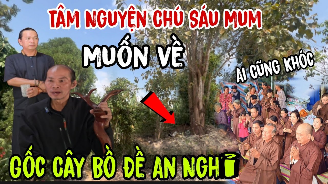 Tâm Nguyện Chú Sáu Mum 👉 Muốn về gốc Cây Bồ Đề An Nghỉ ( ai cũng khóc | Châu Phú Area 51 Thiên Cấm