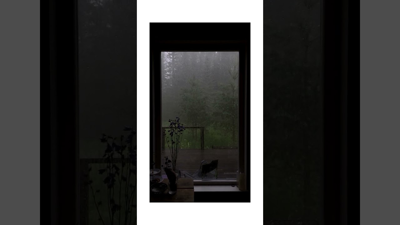 Rain and Tranquil Melodies Relax and Meditate