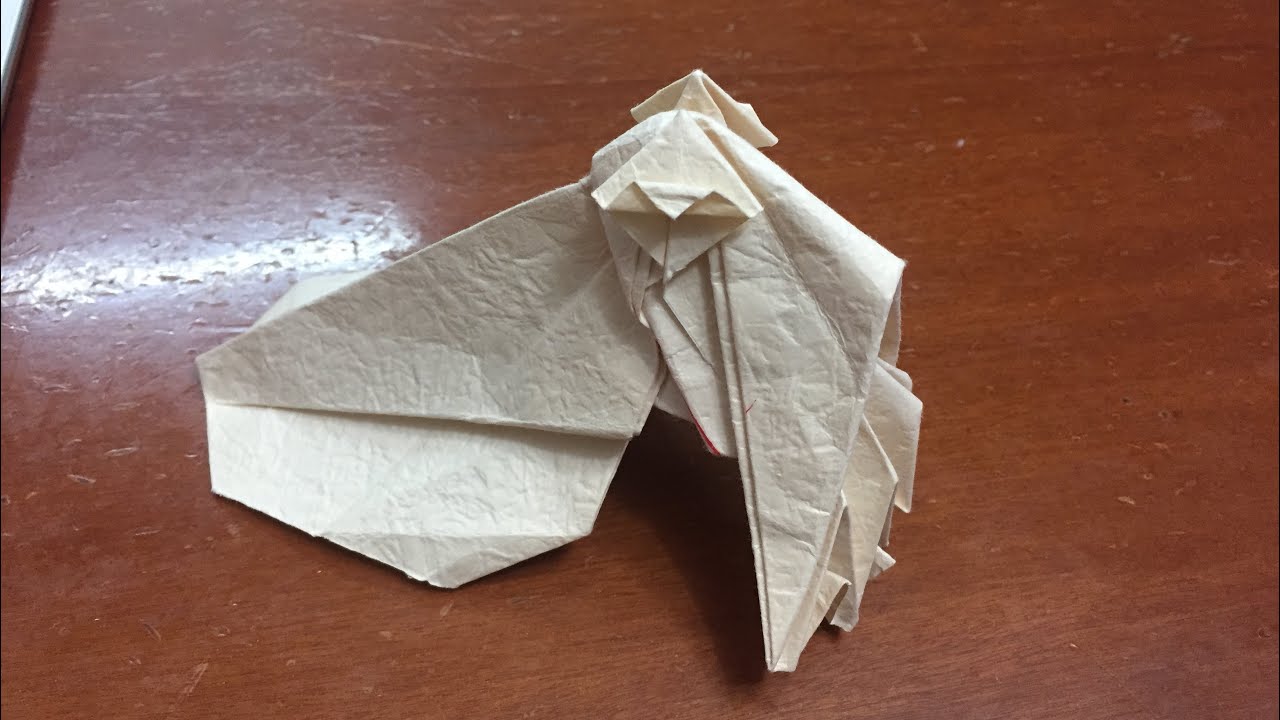 [origami] Origami Cuttlefish (Designed by John Szinger)