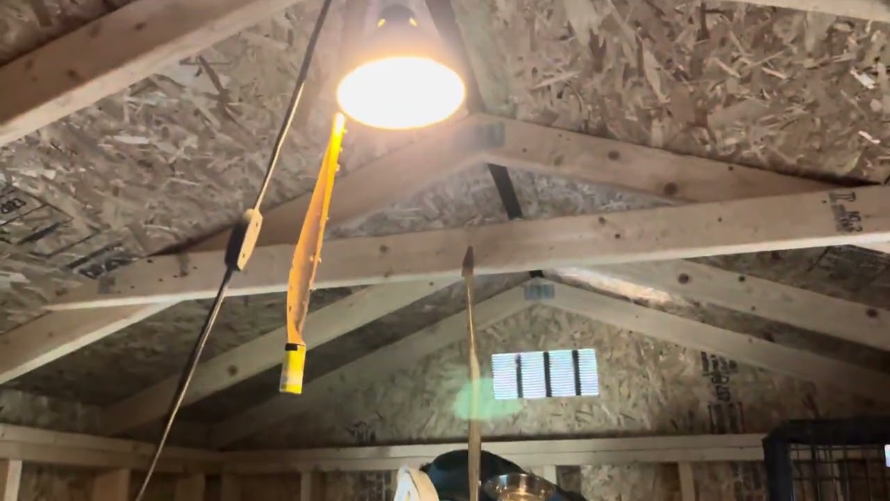 Lights in my dog shed