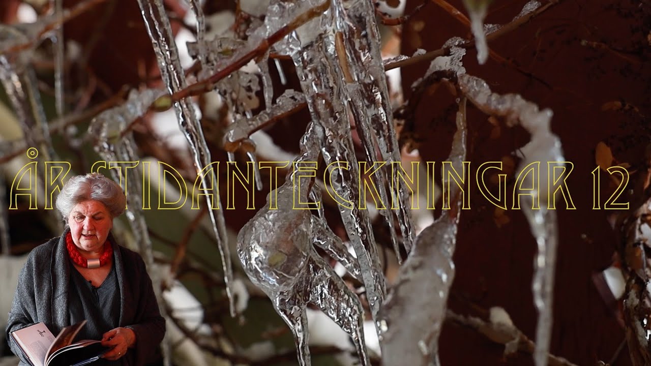 Årstidsanteckningar Del 12