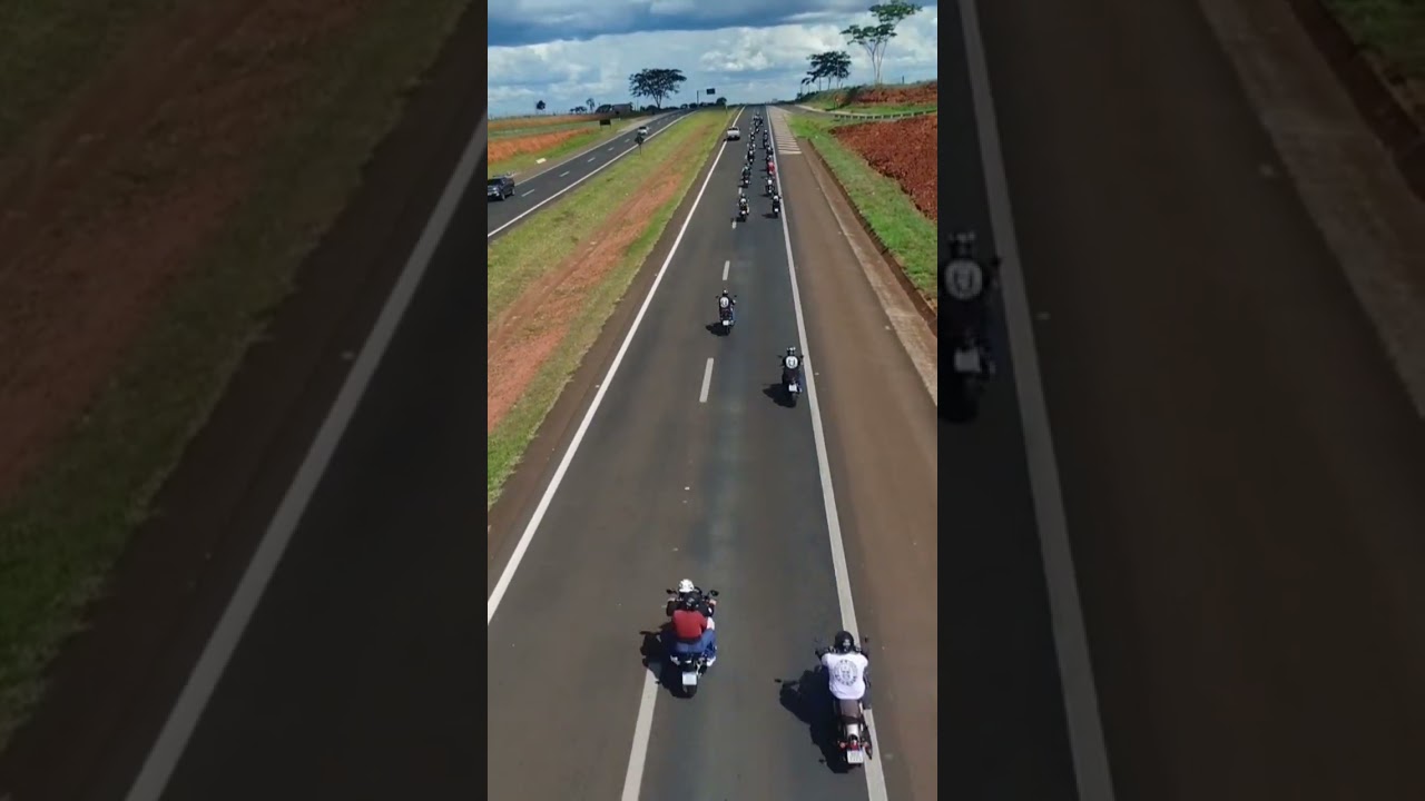 Bonde Insanos
