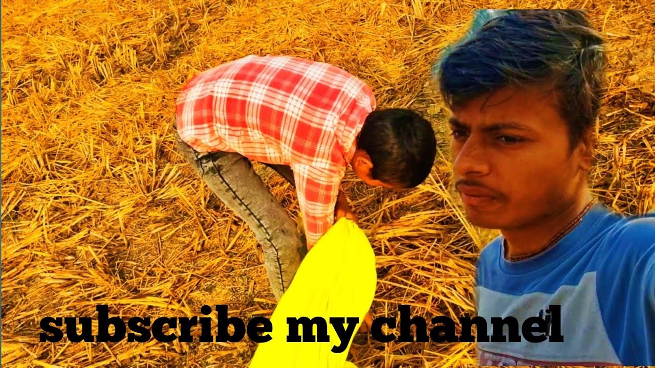 आज ये लडका खेत में बोरी ले के क्या कर रहा है 🤔#Satyam dwivedi vlog_s||#villege lifestyle #