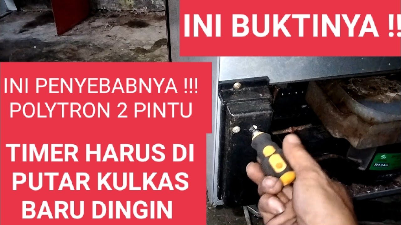 TIMER DI PUTAR KULKAS BARU HIDUP ! INI SEBAB KULKAS POLYTRON 2 PINTU TIDAK DINGIN #KULKASTIDAKDINGIN