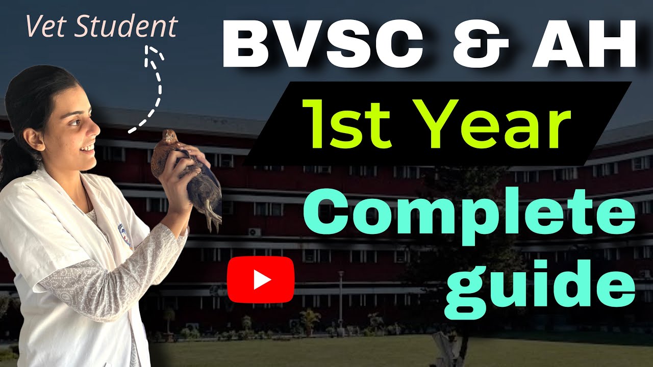 Complete guide for 1st Year BVSC & AH / Veterinary | By 3rd year Vet Student #vet #vet #veterinary