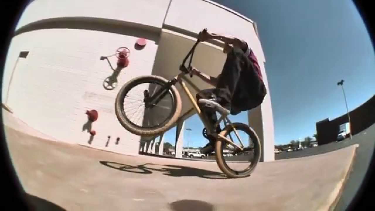 Shane Weston Eclat 2015