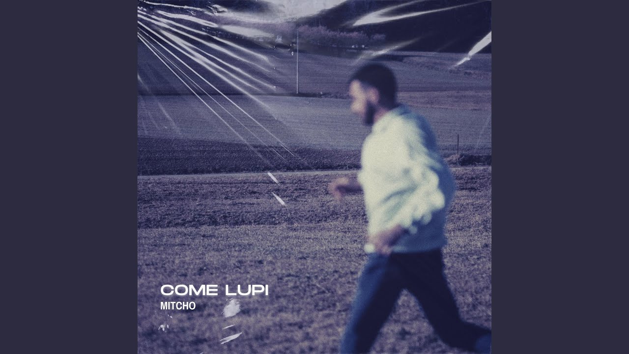 Come Lupi