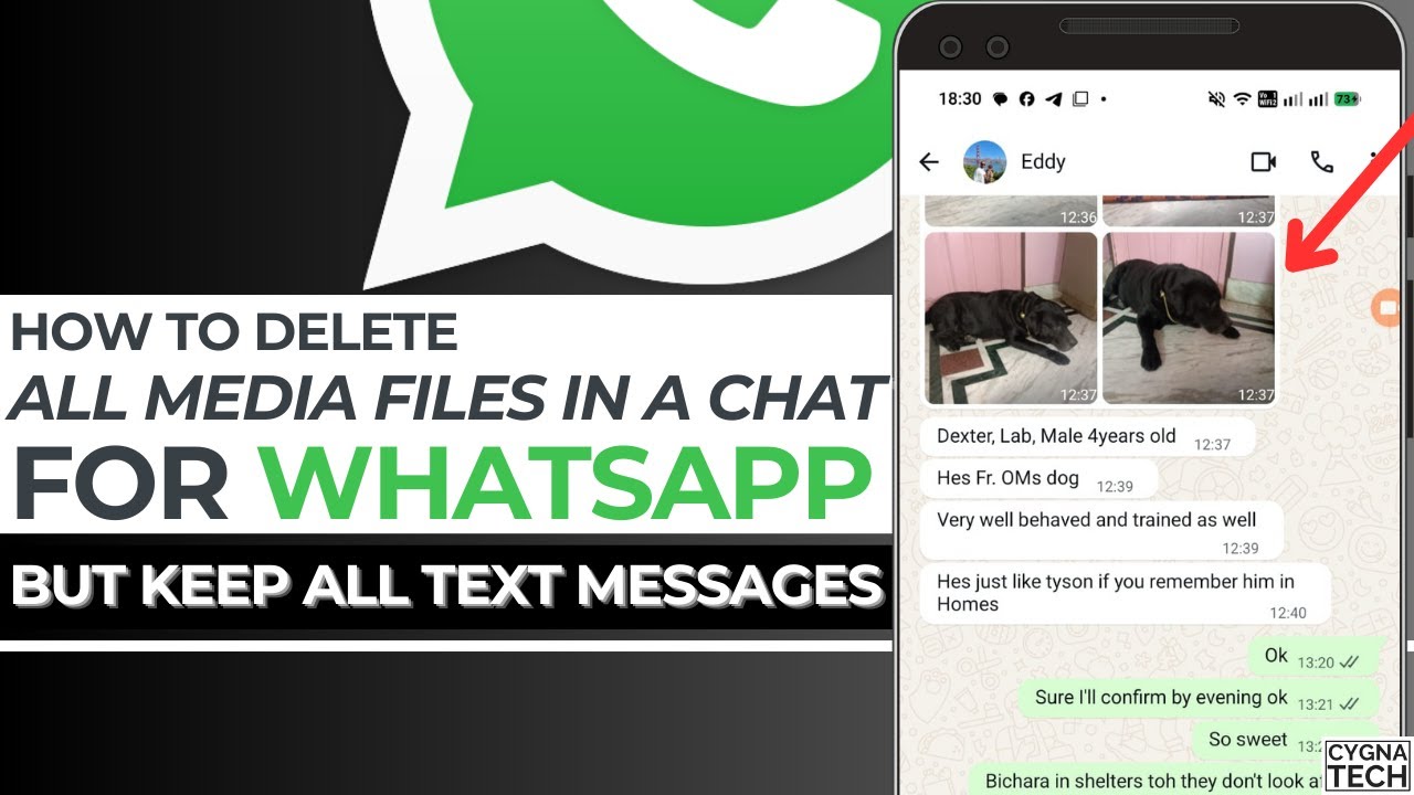 🗑️Новая функция WhatsApp: как удалить медиафайлы и сохранить текстовые сообщения в чате