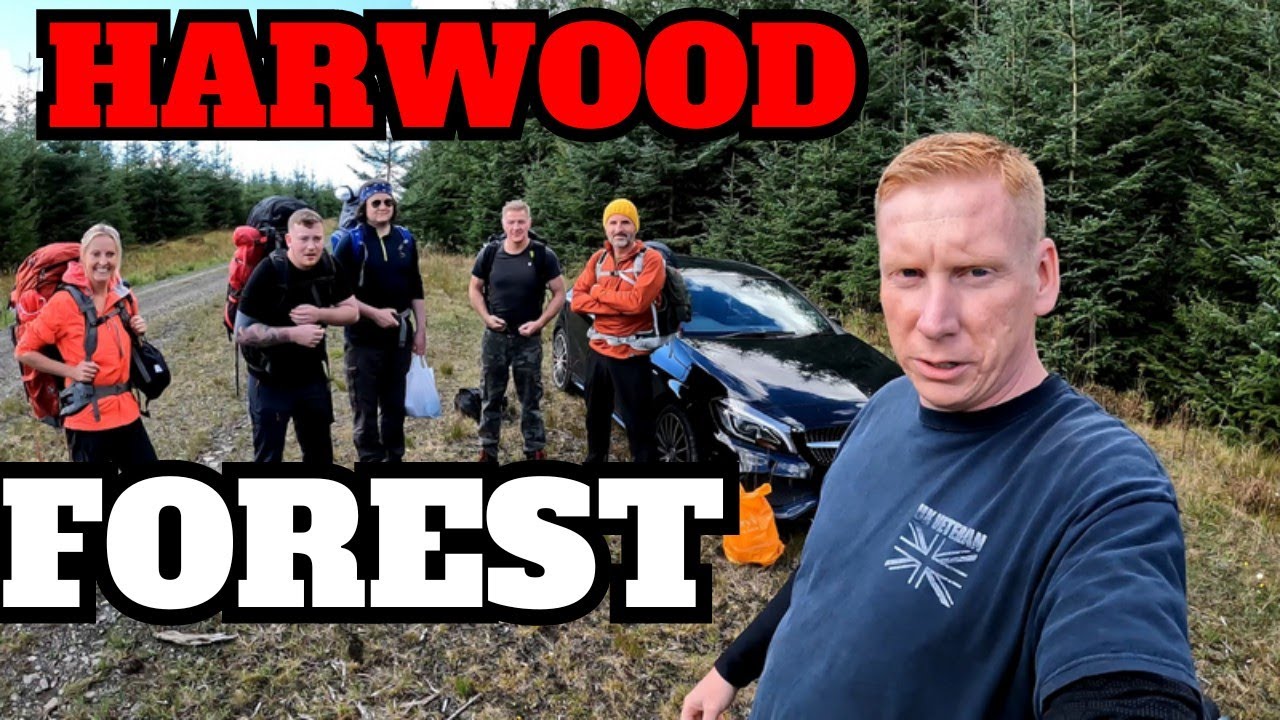 The Ultimate Wild Camping Getaway: Exploring Harwood Forest with Friends