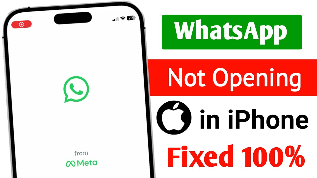 WhatsApp не открывается на iPhone || Как исправить проблему с неработающим/не открывающимся Whats...