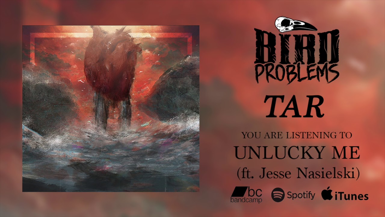 Bird Problems - Unlucky Me (ft. Jesse Nasielski)