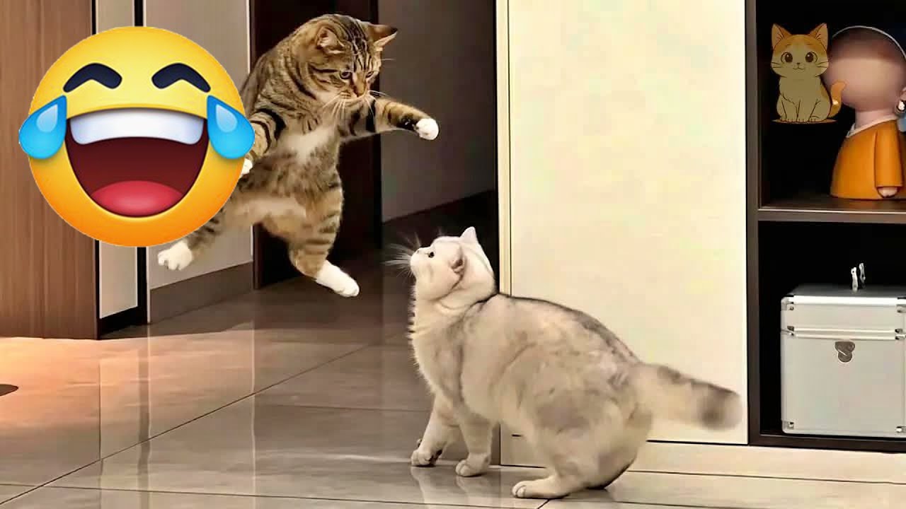 Funny ANIMALS Clip🐕 | Most Funny animals video 2026 🌷 