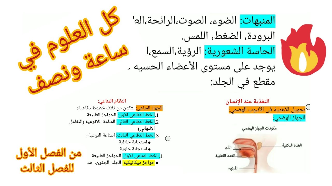 مراجعة شاملة للعلوم الطبيعية من الفصل الأول للفصل الثالث سنة رابعة متوسط.
