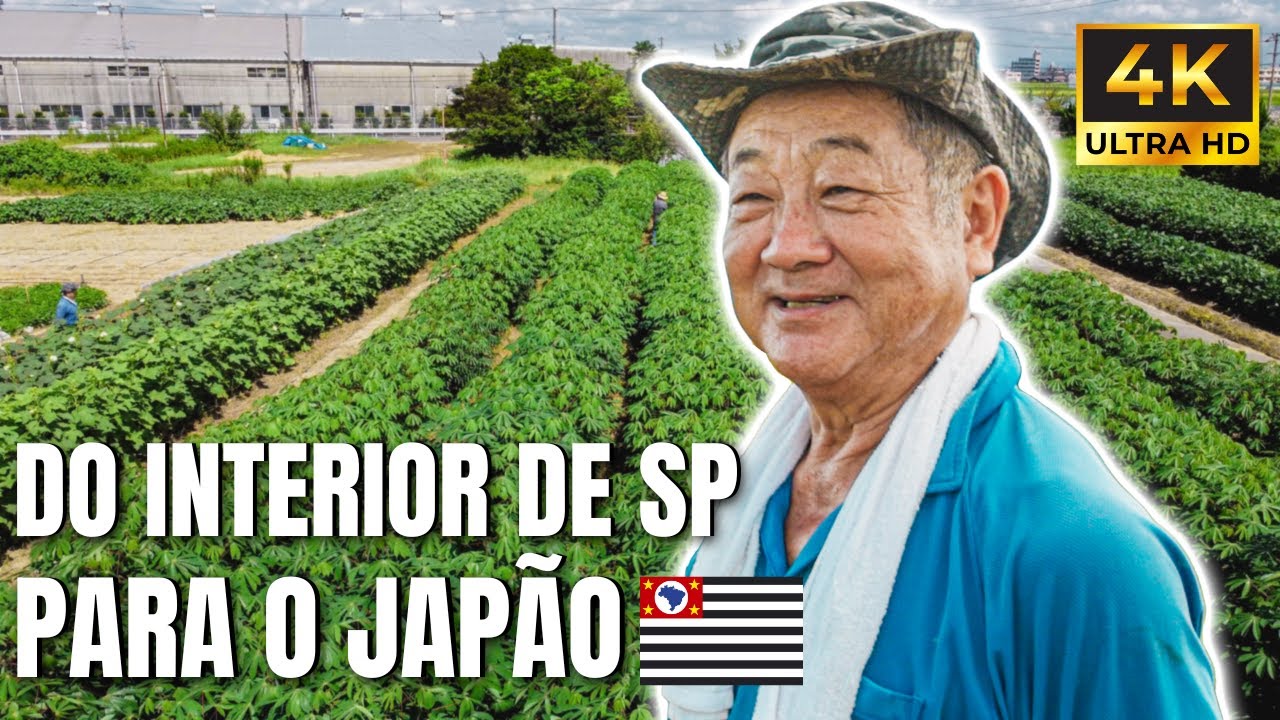 BRASILEIRO PLANTA MANDIOCA NO JAPÃO