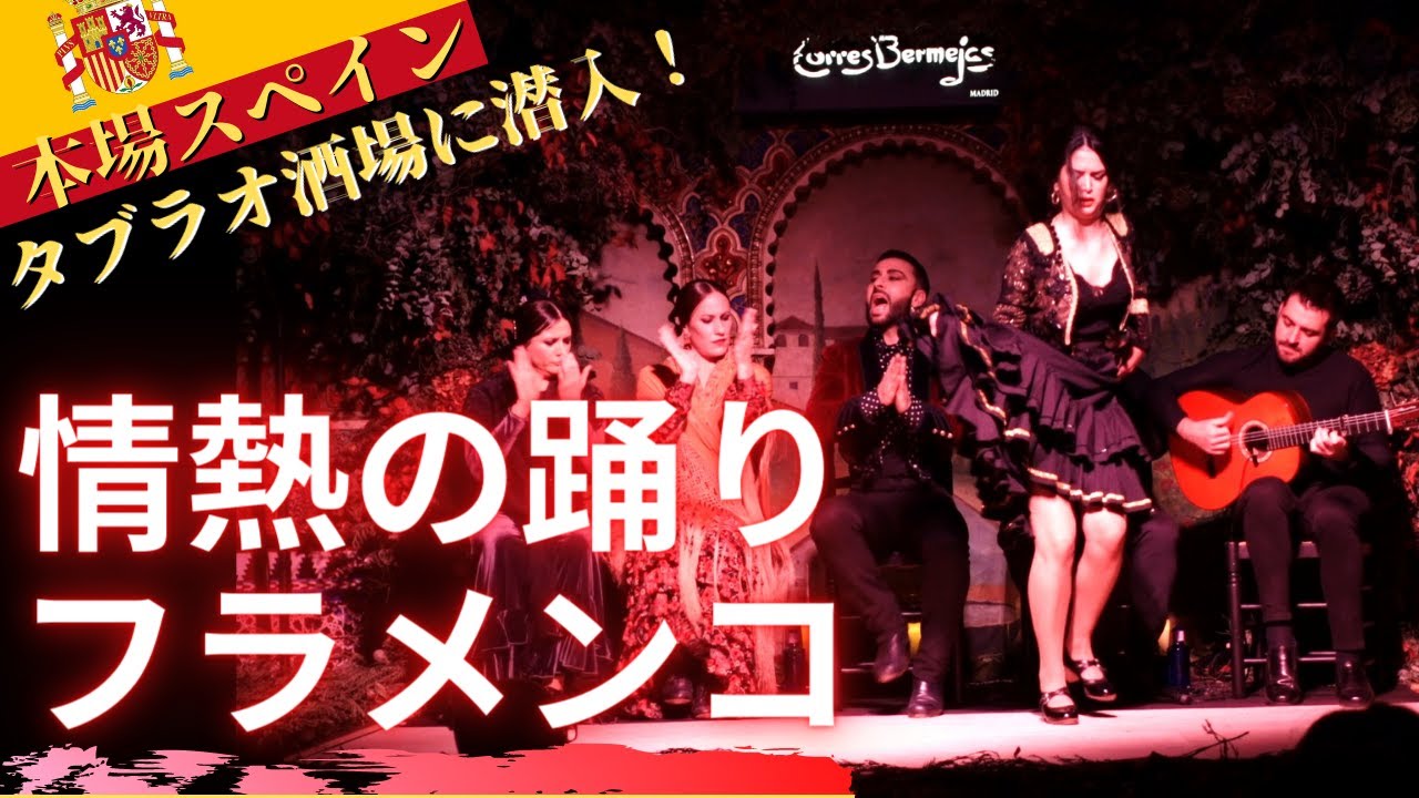 スペイン【情熱のフラメンコ】首都マドリードでフラメンコ酒場に潜入！Best Flamenco I've seen at Madrid Spain