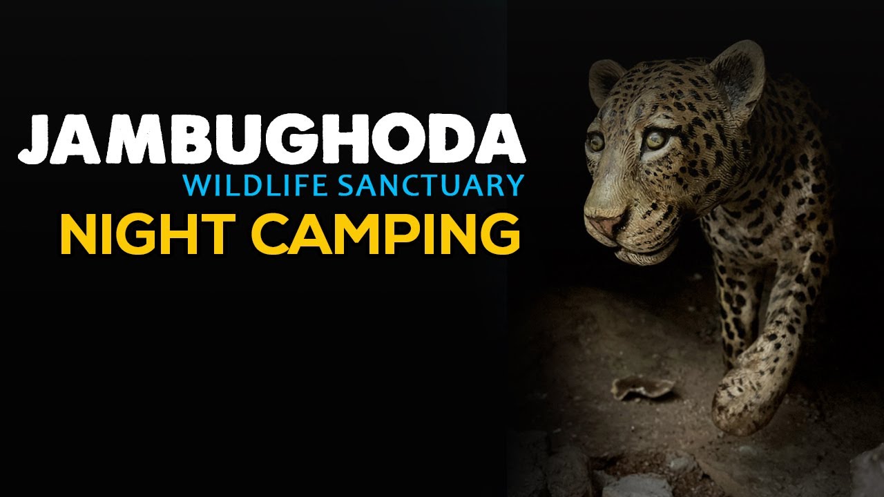 Jambughoda Wildlife Sanctuary - Overnight Camping