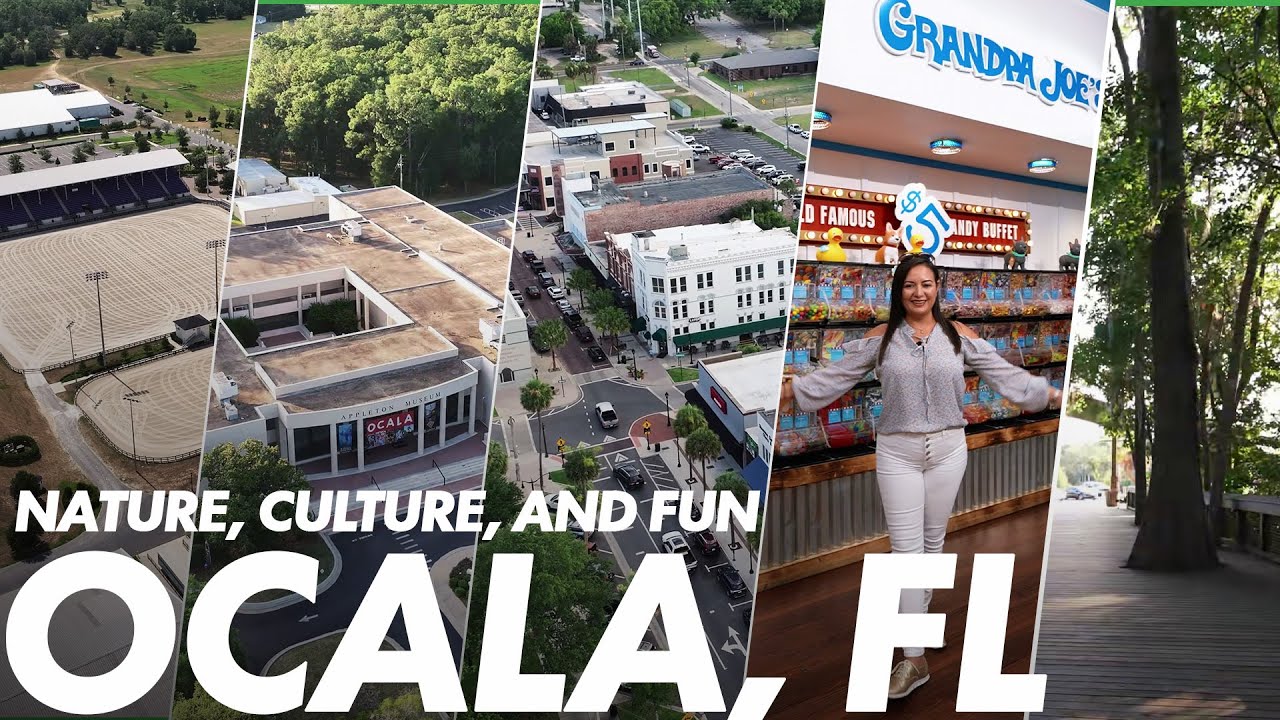 Complete Guide to Ocala: From Silver Springs to the World Equestrian Center