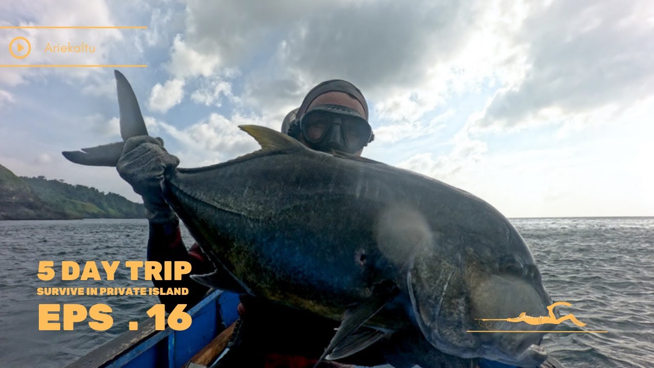 5 DAY SPEARFISHING TRIP