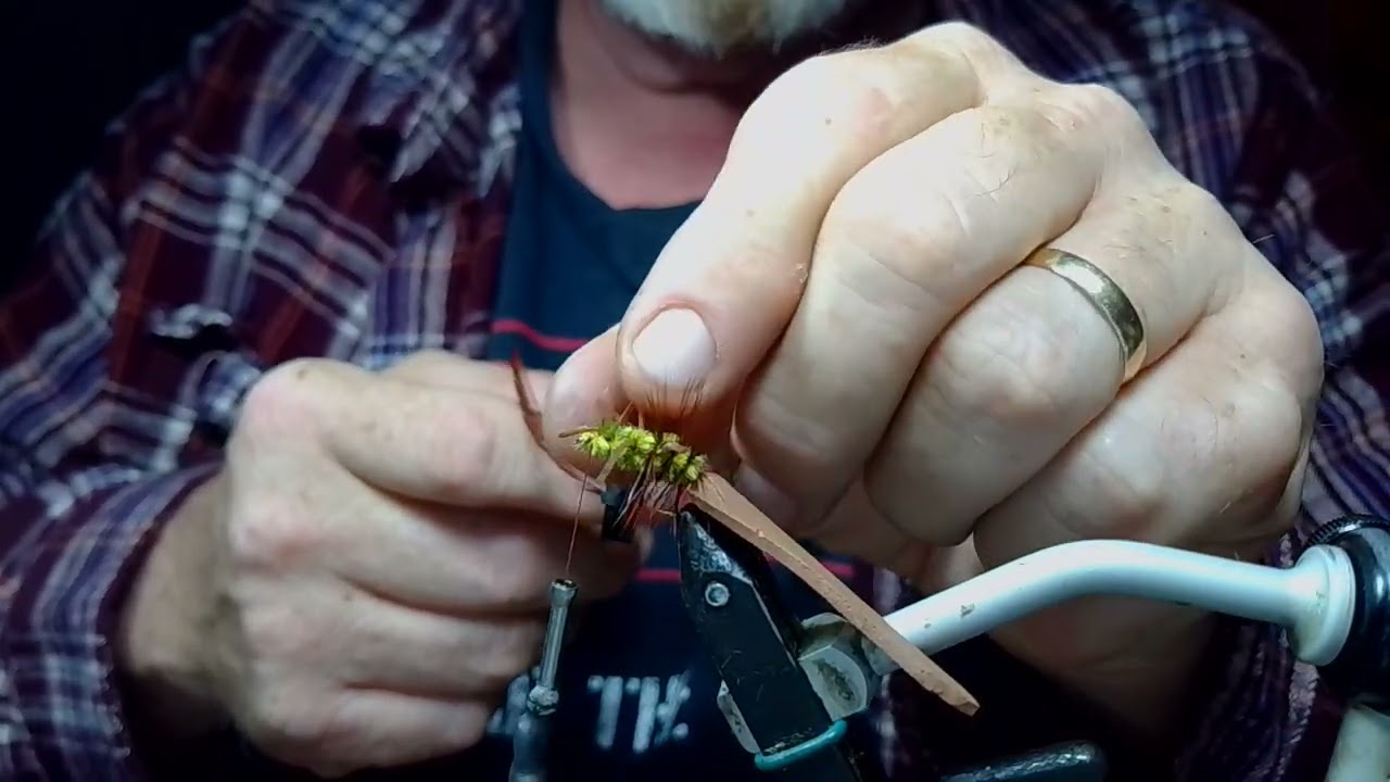 CT Brown Foam Beetle