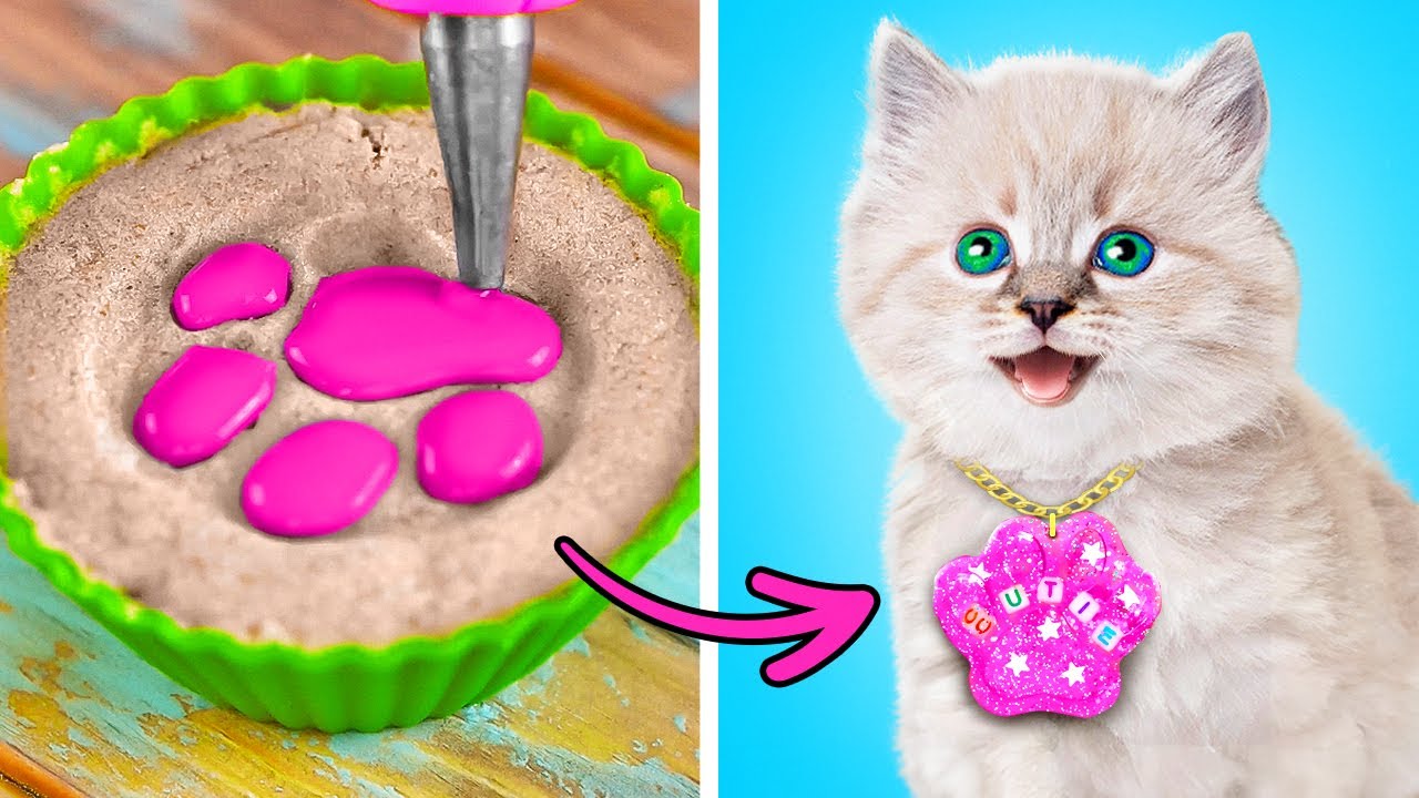 10+ Amazing DIY Cat Crafts You Need To Try! 🐾✨ Fun & Easy Hacks By Resting Purr Face Live