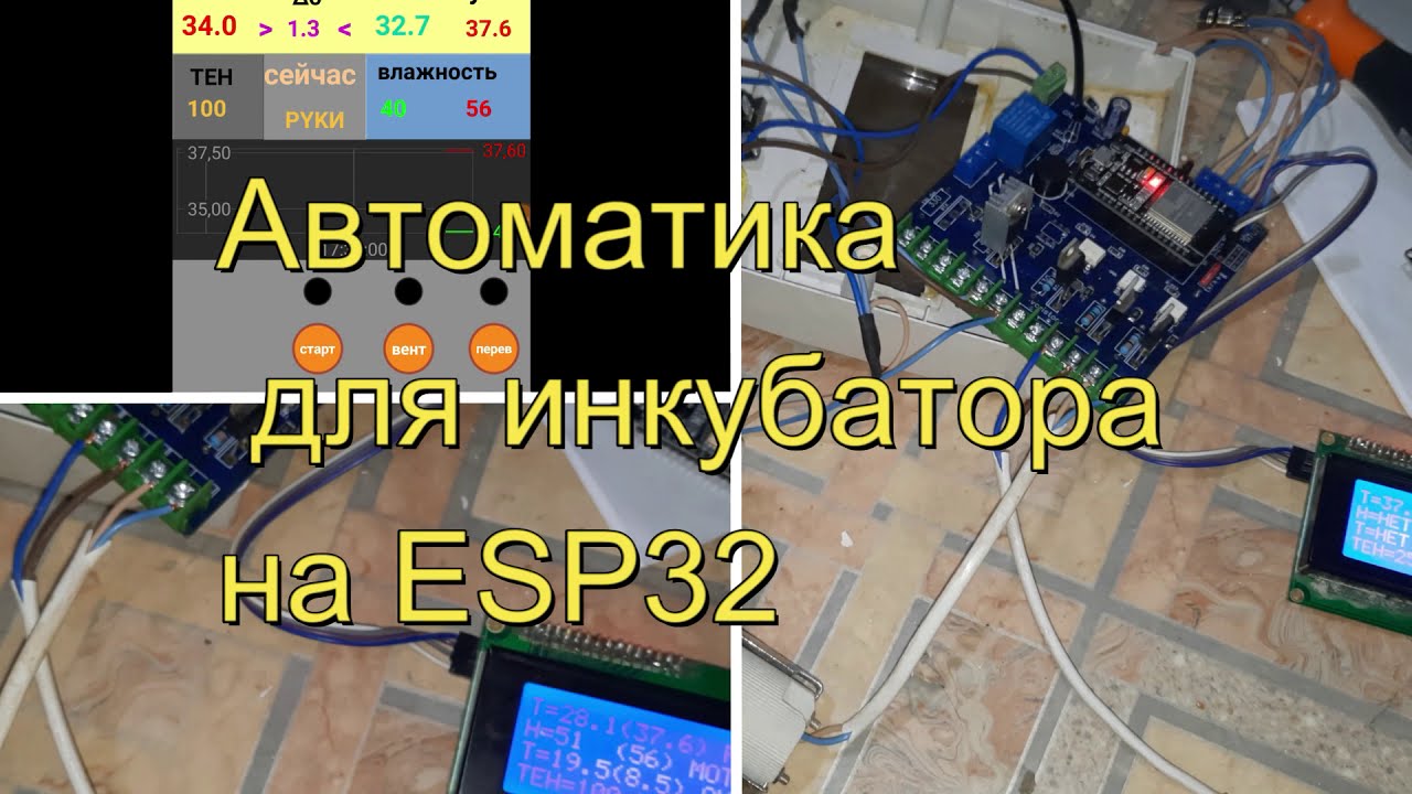 Дешевая автоматика для инкубатора на ESP 32 . ССЫЛКА внизу.2021