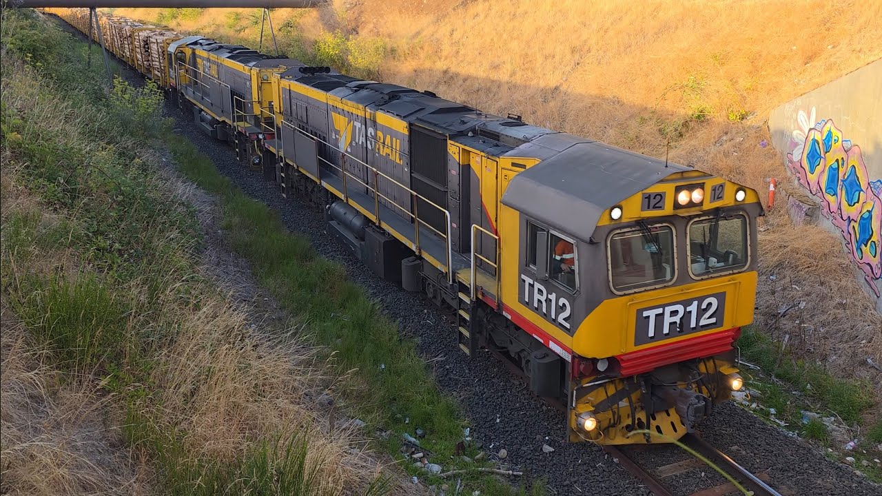 TasRail TR12 TR15 #34 train Rocherlea