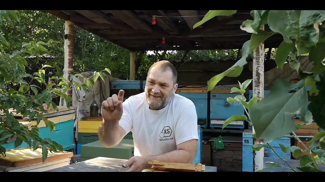 Какой нуклеус лучше? Что же выбрать?