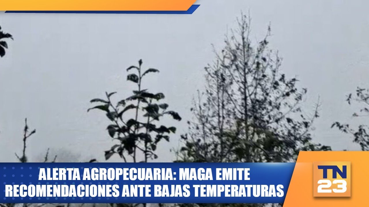 Alerta agropecuaria: MAGA emite recomendaciones ante bajas temperaturas