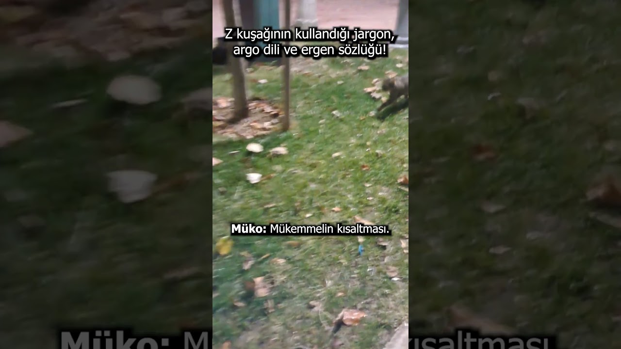 Z Kuşağı Argo Dili: "Müko" Ne Demek? 👩