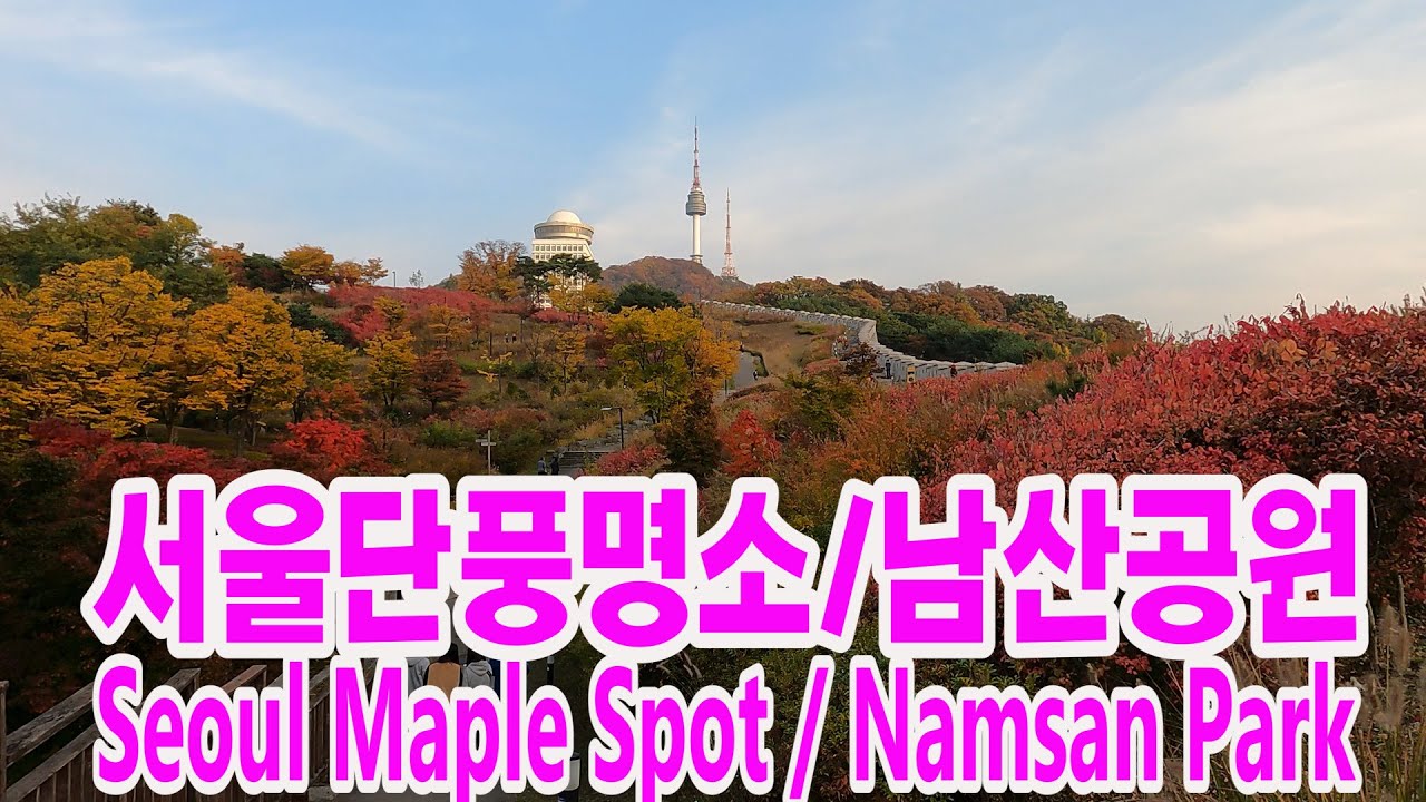 서울단풍명소/ 남산공원/서울N타워/남산둘레길/Seoul Maple Spots/ Namsan Park/ Seoul N Tower