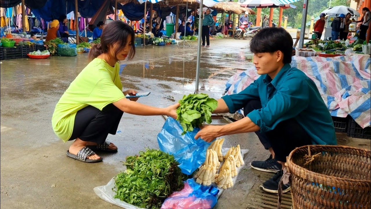Harvest bamboo shoots, wild vegetables, go to the market to sell, forest life - Ep 57
