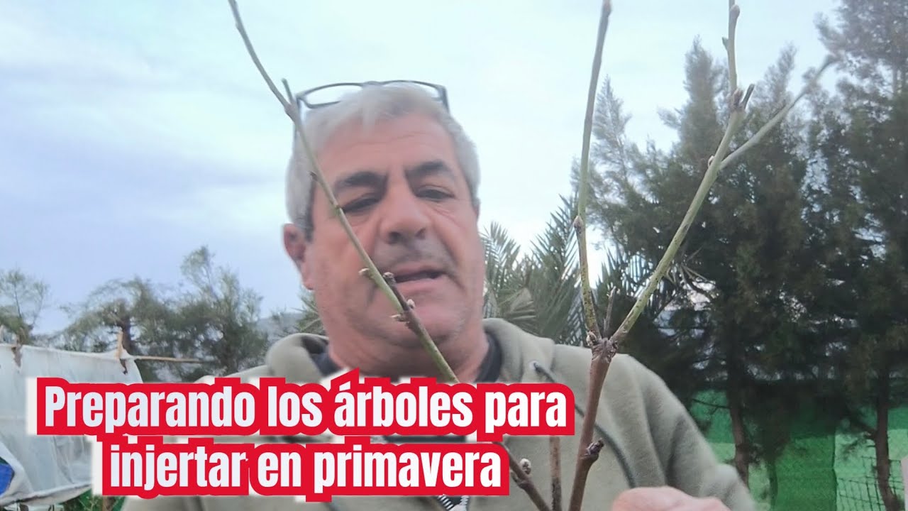 As&iacute; preparamos el vivero para injertar en primavera en madera puente.