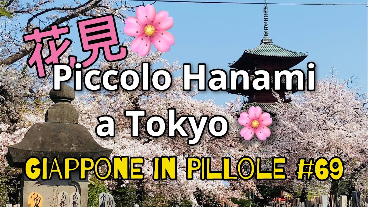 Miru - Giappone in pillole #69 (mini Hanami)