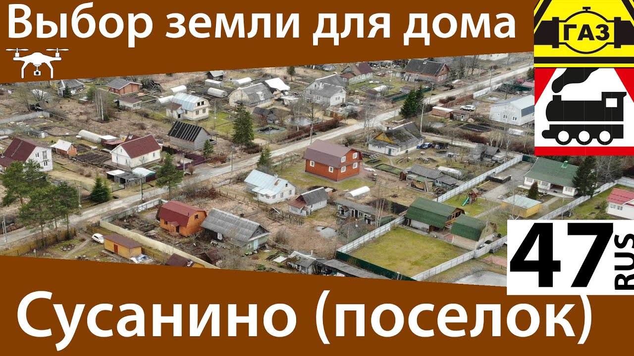 д. Сусанино [ 03.2020 ] - Осмотр с воздуха