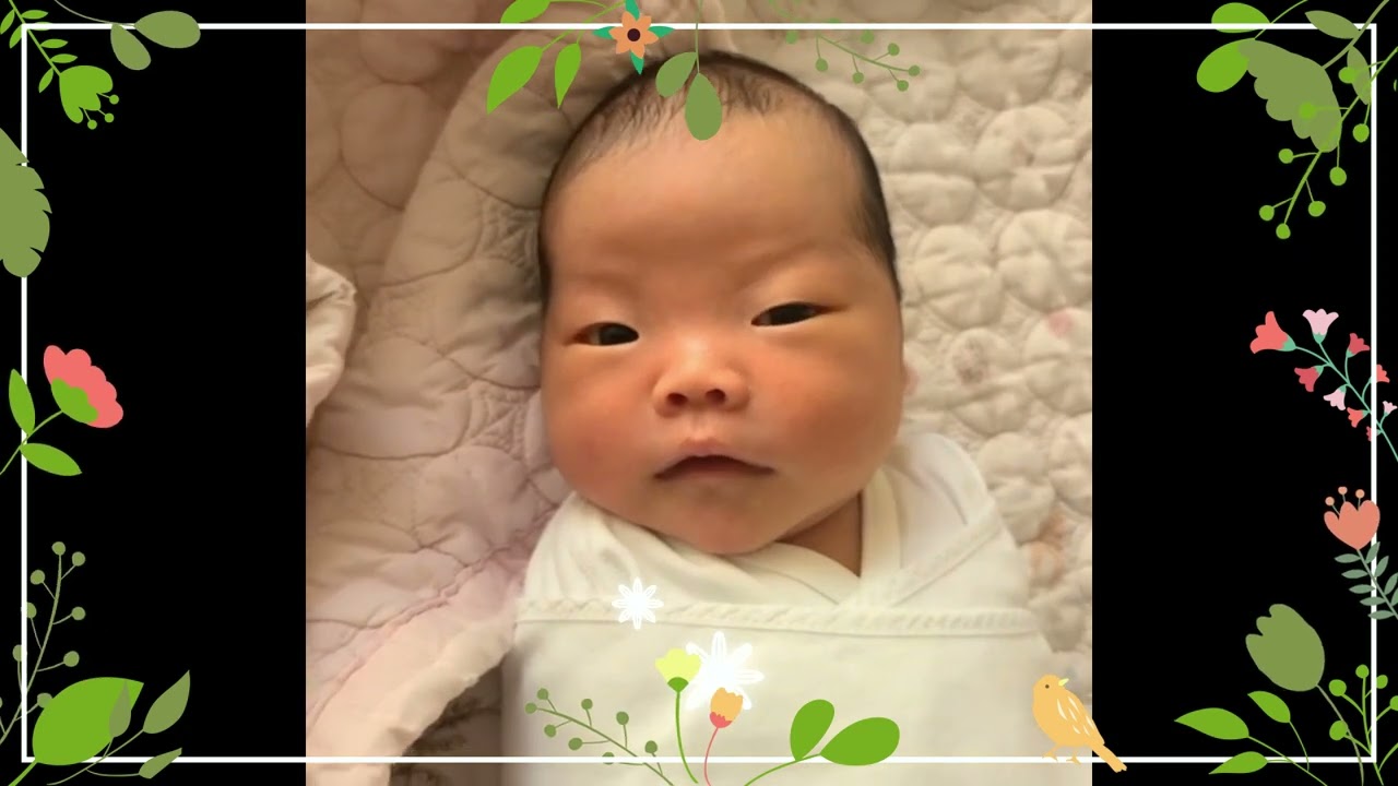 [강이설tv] 딸꾹까꿍